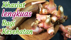 lengkuas3